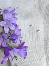 Load image into Gallery viewer, Mini Silver Half Moon Stud Earrings
